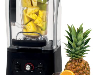 Blender avec caisson insonorisant 2,5 L
